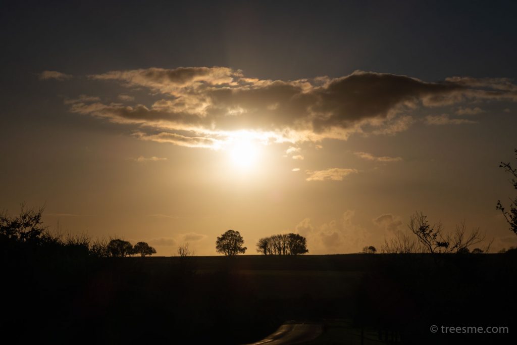 Autumn (October) – The Evening Sun and Light Cloud, Looking Towards Bodmin Moor