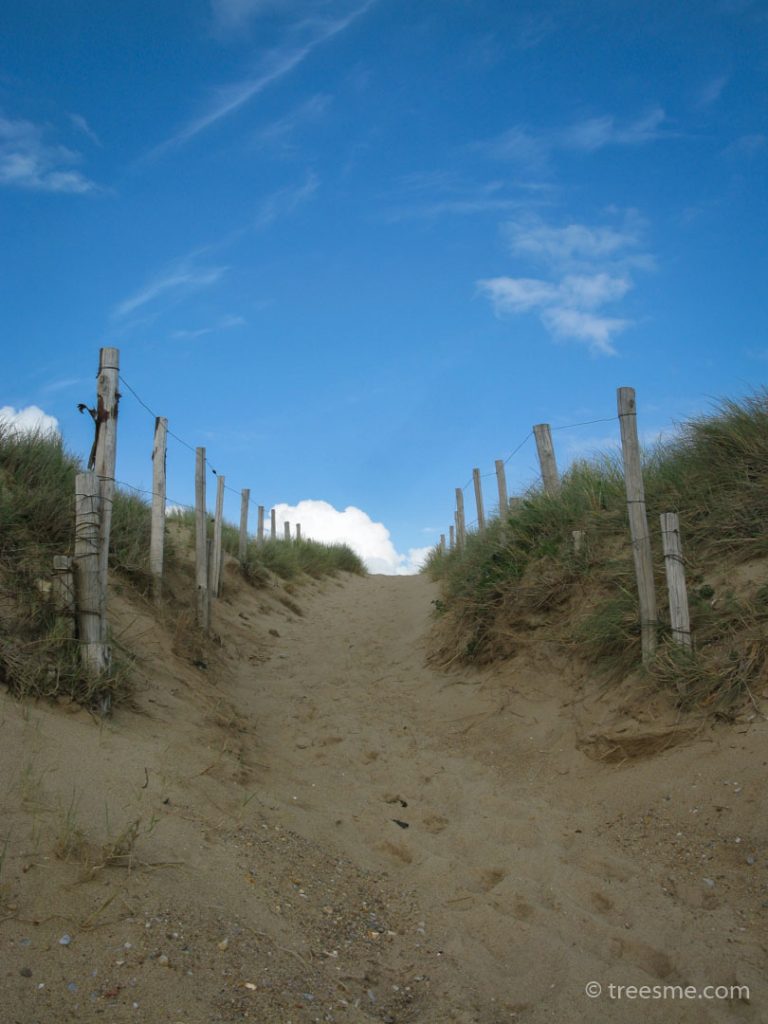 Spring (May) - Path leading away from the beach SW France